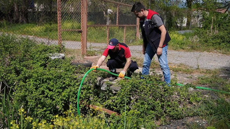 Düzce’de ilaçlama çalışmaları yeniden başladı