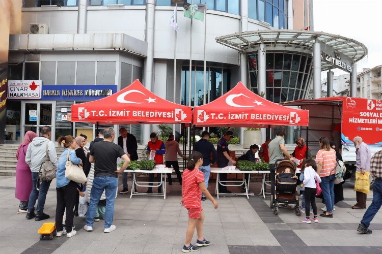 İzmit’te tarımsal kalkınmaya fide desteği
