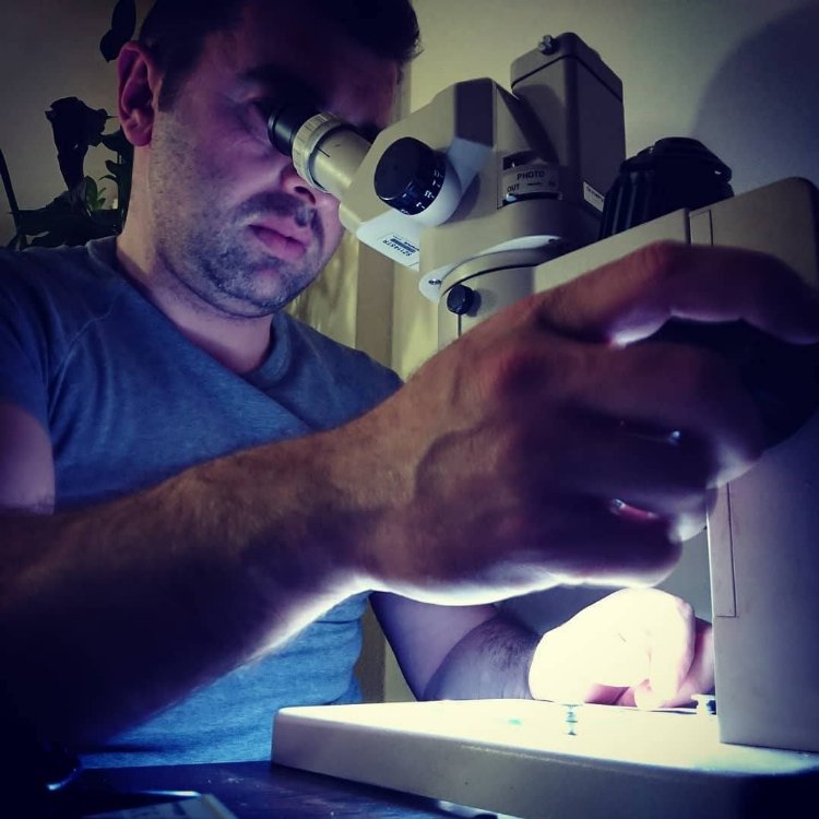 Yaban Hayatı Derneği: ‘Soruşturmanın takipçisi olacağız’