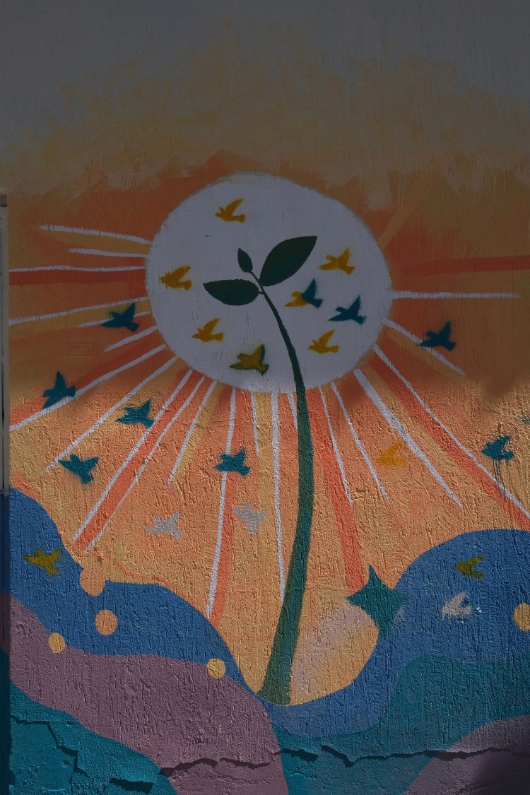 Bursa Nilüfer’de mesajlarını grafiti ile verdiler