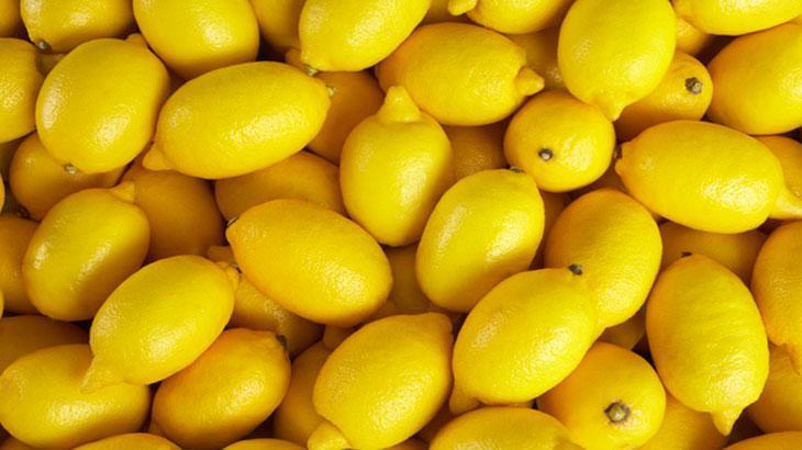 Limon ihracatındaki kısıtlama kaldırıldı – Düzgün Haber