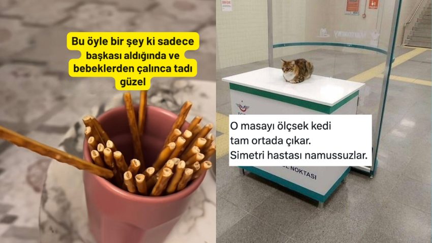 Çubuk Krakerin Gizeminden Simetri Hastası Kedilere Son 24 Saatin Viral Tweetleri