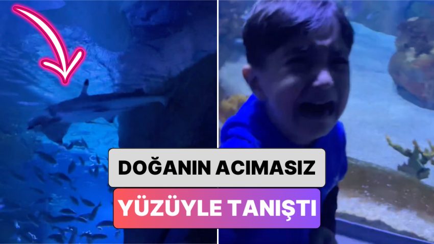 Dev Akvaryumda Balıkları Görmeye Giden Bir Minik Tabiatın Acımasız Yüzüyle Tanışınca Neye Uğradığını Şaşırdı
