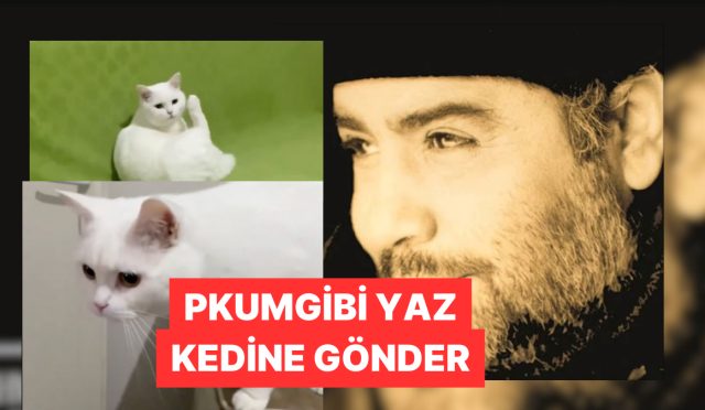 kedileri-ahmet-kaya-zil-sesiyle-bulma-usulu-viral-oldu-JEnceWxB.jpg
