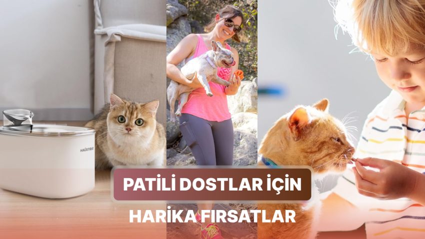 Patili Dosta Sahip Olanlar İçin Salı İndirimleri Kataloğu