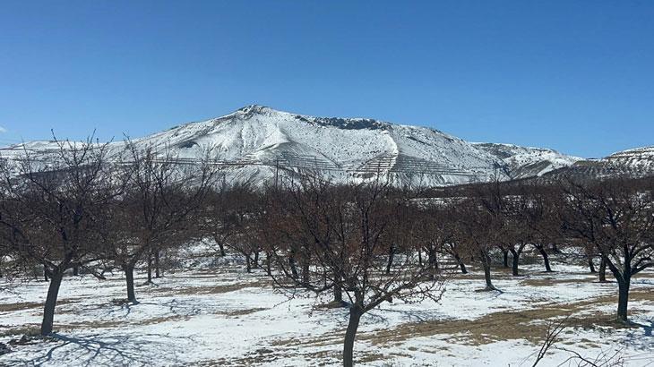 Şiddetli soğuklar kayısıyı vurdu – Düzgün Haber