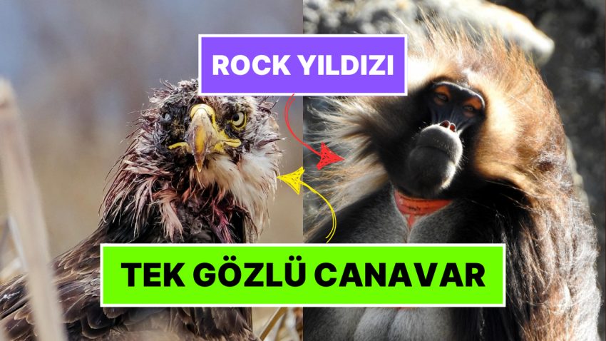 Tabiatın Korkutucu Yüzünü İliklerinize Kadar Hissetmenize Sebep Olacak Birbirinden Ürkütücü 15 Yeni Fotoğraf