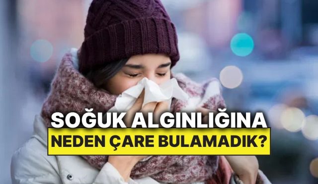 tip-bu-kadar-gelismesine-karsin-neden-hala-soguk-alginligina-bir-deva-bulamadi-P3rpWUMC.jpg