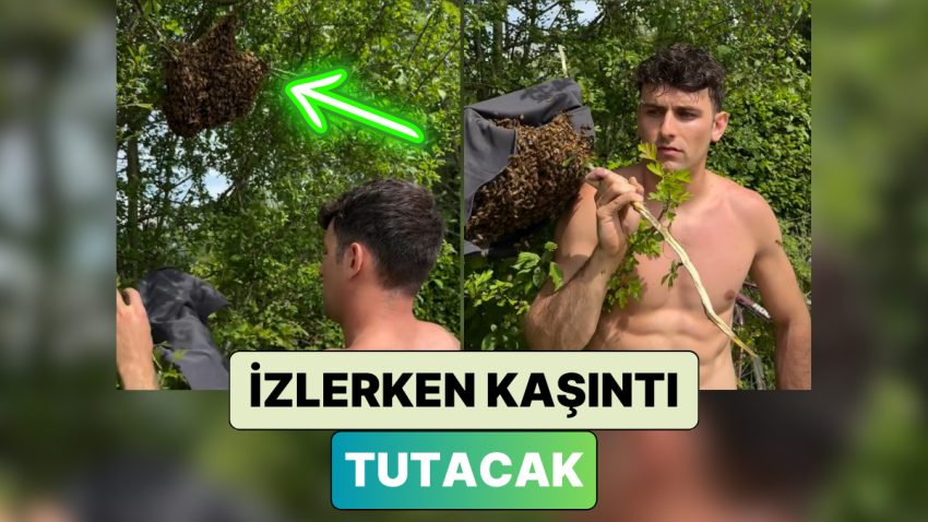 Bir Ağaca Yuva Yapan Arıları Tişörtü ile Alarak Diğer Bir Yere Taşıyan Adamı İzlerken Kaşıntı Tutacak