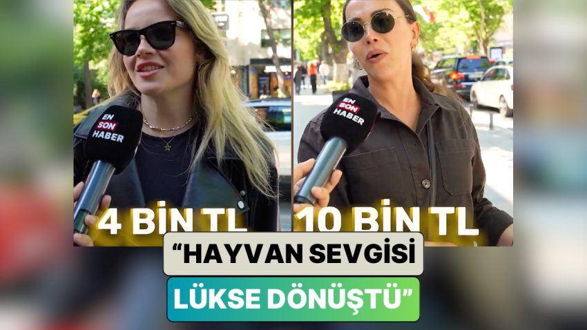 Bir Sokak Röportajında İnsanlara Evcil Hayvanlarının Aylık Masrafları Soruldu: “Hayvan Sevgisi Lükse Dönüştü”