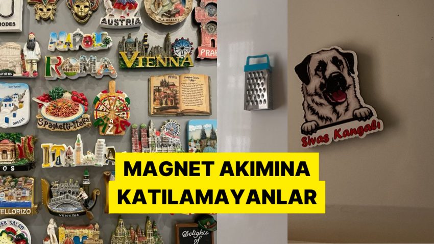 Dünya Haritasına Dönen Buzdolaplarına İnat Mütevazı Magnetlerini Paylaşan Şahıslar