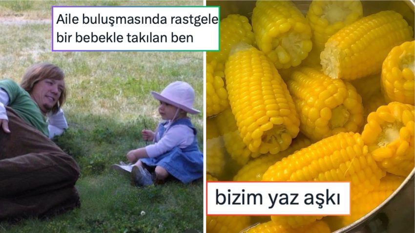 Gerçek Yaz Aşkından Artık Hiç Görünmeyen Uğur Böceklerine Son 24 Saatin Viral Tweetleri