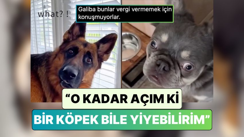 Köpek Sahipleri Patili Dostlarına “O Kadar Açım ki Bir Köpek Bile Yiyebilirim” Diyerek Reaksiyonlarını Kaydetti
