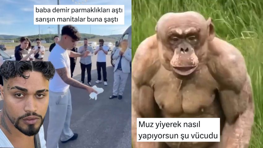 Proteinsiz Beden Yapanlardan Lvbel C5 Tipi Müzik Yazma Rehberine Son 24 Saatin Viral Tweetleri