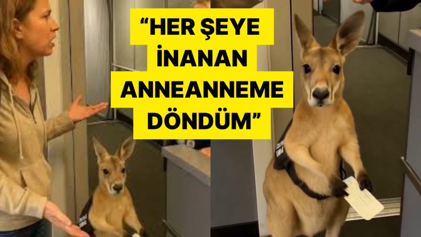 Uçağa Alınmayan Kanguru Görüntüsünü Gerçek Sanarak Kendini Facebook Teyzesi Üzere Hissedenler