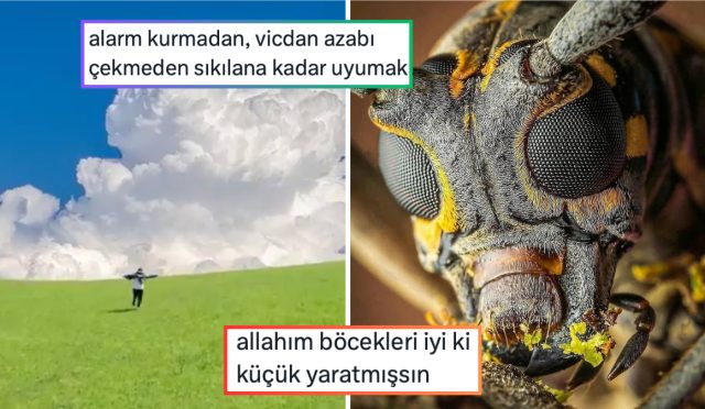 alarm-kurmadan-uyumanin-verdigi-huzurdan-yorgan-cantasinda-tasinan-gergin-kediye-son-24-saatin-viral-6Yr1NckM.jpg