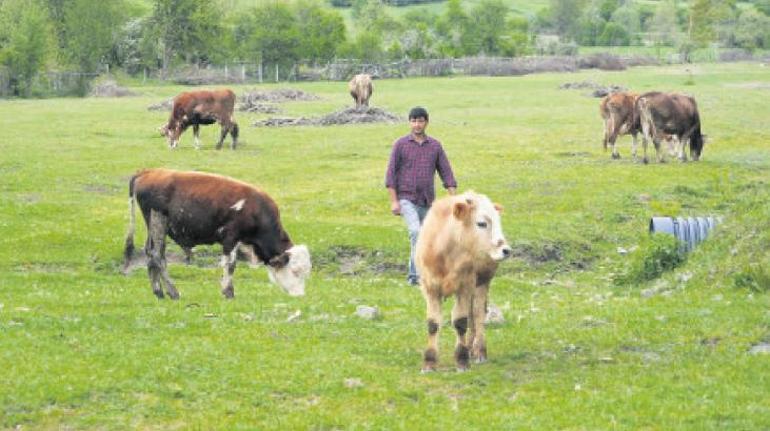 Besin güvenliği için ‘gençlik’ harekâtı! – Düzgün Haber