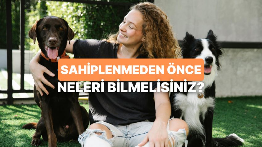 Bir Köpek Sahiplenmeden Evvel Bilmeniz Gerekenler