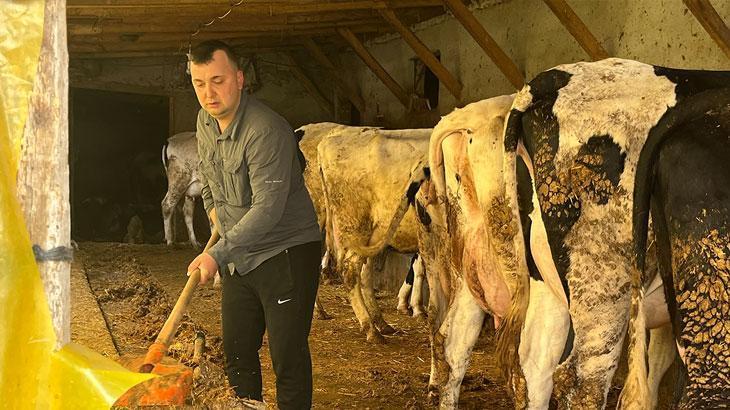 5 büyükbaş hayvanı 86’ya çıkardı – Düzgün Haber