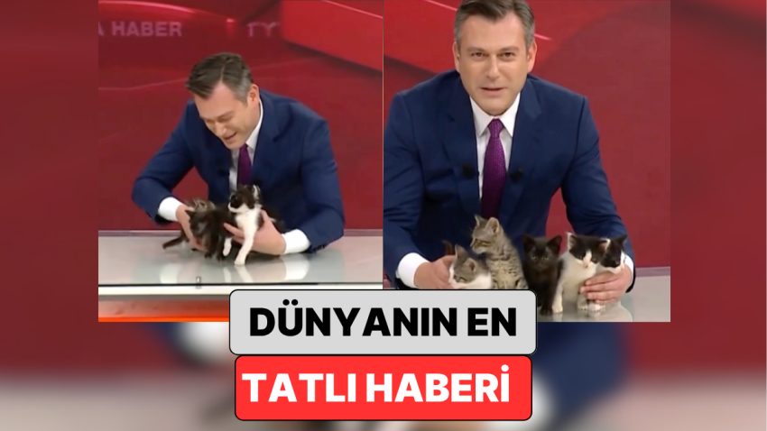 Dünyanın En Hoş Haberi: Bir Haber Programında Kanalın Kedisinin Yavruları Sahiplendirildi