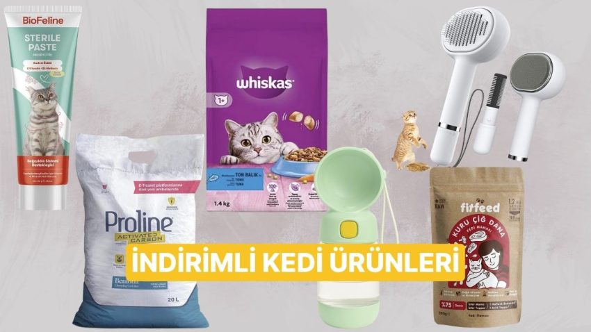 Kedilerin Çok Sevdiği İndirimli Eserler Burada!