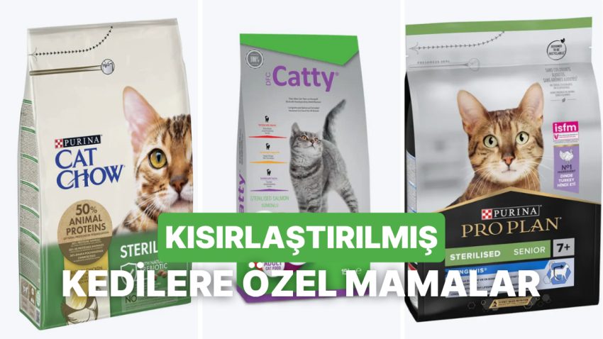 Kısırlaştırılan Kediniz İçin En Sağlıklı 10 Mama Çeşidi