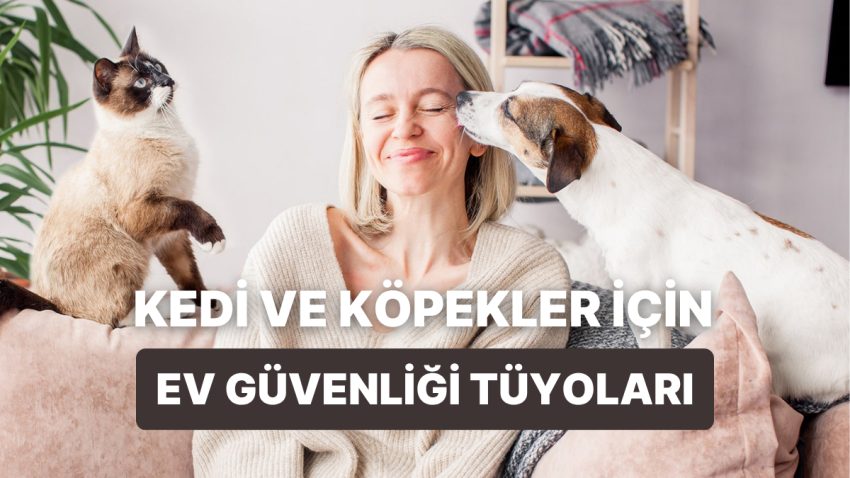 Konutunu Kedi-Köpek İçin Daha İnançlı Hale Getirmenin 12 Yolu
