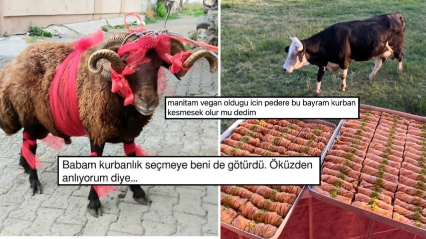 Kurban Bayramını Goygoyla Karşılayan Toplumsal Medya Kullanıcılarının Güldüren Paylaşımları