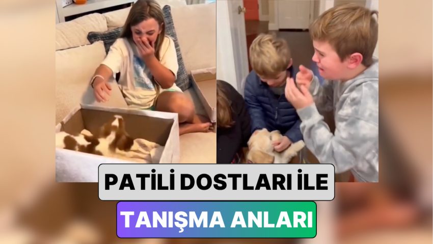 Miniklerin Patili Dostları ile Birinci Defa Karşılaştıkları Anları İzlerken Siz de Onlarla Duygulanacaksınız