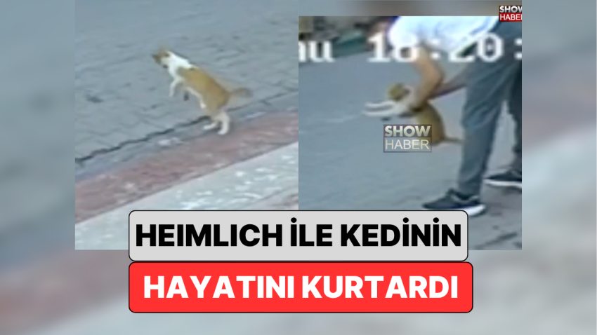 Samsun’da Bir Vatandaş Boğulmak Üzere Olan Kedinin Hayatını Heimlich Hareketi ile Kurtardı