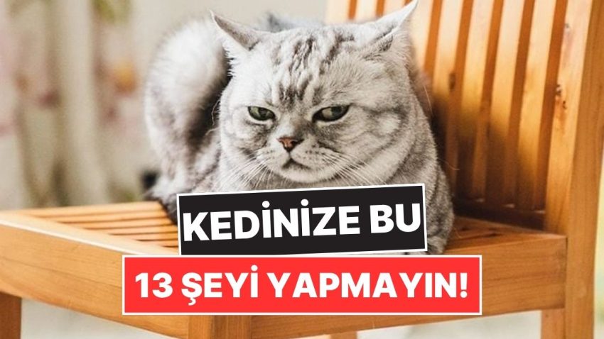 Uzmanlara Nazaran Kedinize Asla Yapmamanız Gereken 13 Şey