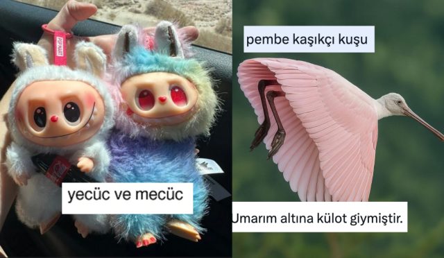 alternatif-labubu-lafufu-isimlerinden-temkinsiz-ucanlara-son-24-saatin-viral-tweetleri-biQtM1PS.jpg