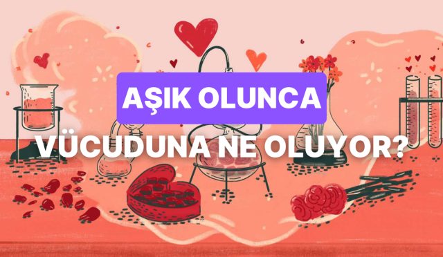 asik-oldugumuzda-bedenimizde-neler-olup-bitiyor-k7xLalA4.jpg