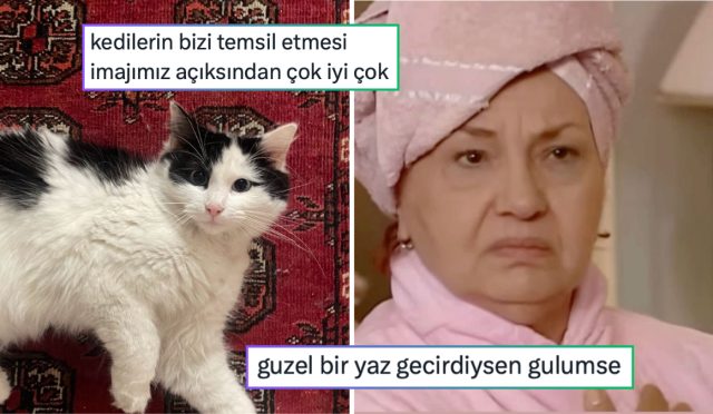 bizi-kedilerin-temsil-etmesinin-verdigi-memnunluktan-sevgiliye-duyulan-sonsuz-itimada-24-saatin-viral-XGn3wjPF.jpg