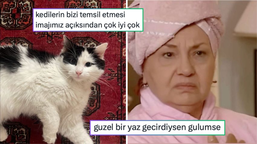 Bizi Kedilerin Temsil Etmesinin Verdiği Memnunluktan Sevgiliye Duyulan Sonsuz İtimada  24 Saatin Viral Tweetleri