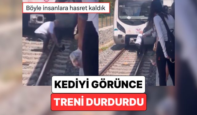 bosuna-kedi-kenti-demedik-bakirkoyde-seyir-halindeki-bir-makinist-raylardaki-kediyi-gorunce-treni-durdurdu-fqOLdj1y.jpg