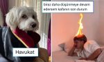 cay-bagimliliginin-geldigi-duzeyden-dusunmekten-beyni-yanana-son-24-saatin-viral-tweetleri-fLtTM5aT.jpg