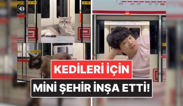 cinli-bir-icerik-ureticisi-kedileri-icin-resmen-kucuk-kent-insa-etti-EI5RxNwG.jpg