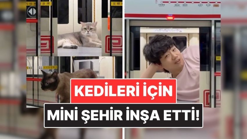 Çinli Bir İçerik Üreticisi Kedileri İçin Resmen Küçük Kent İnşa Etti!