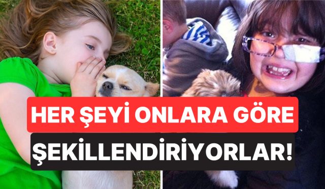 cocuk-sahibi-olmayan-kopek-sahiplerinin-buyuk-cogunlugu-hayatlarini-evcil-hayvanlarina-nazaran-sekillendiriyor-XNfmfuYp.jpg