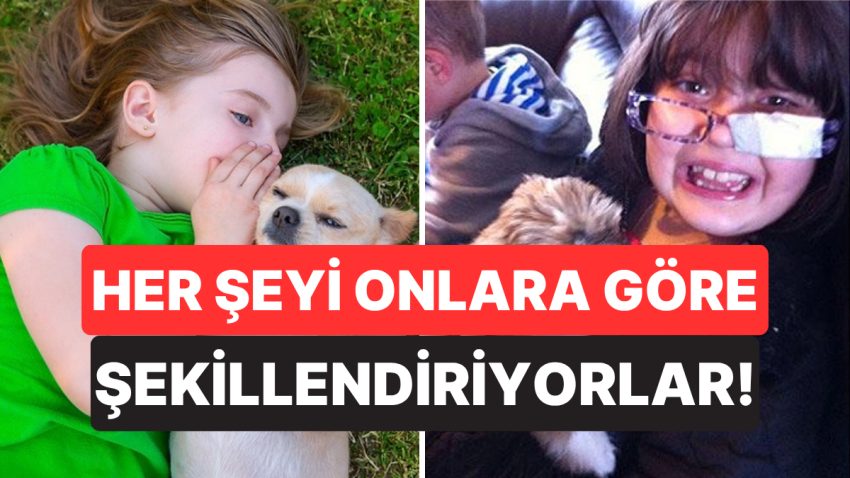 Çocuk Sahibi Olmayan Köpek Sahiplerinin Büyük Çoğunluğu Hayatlarını Evcil Hayvanlarına Nazaran Şekillendiriyor