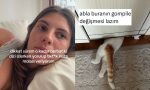 dikkat-muhleti-can-cekisenlerden-usta-catalina-son-24-saatin-viral-tweetleri-NifVvuhN.jpg