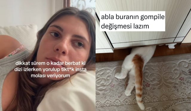 dikkat-muhleti-can-cekisenlerden-usta-catalina-son-24-saatin-viral-tweetleri-NifVvuhN.jpg