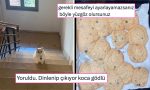 dogrusunu-unutturan-yazim-yanlisindan-10-siniftan-sonra-istikametini-kaybedene-son-24-saatin-viral-tweetleri-L9scwQyf.jpg