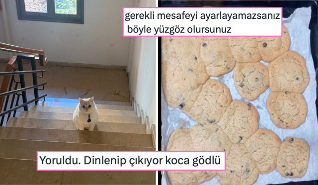 dogrusunu-unutturan-yazim-yanlisindan-10-siniftan-sonra-istikametini-kaybedene-son-24-saatin-viral-tweetleri-L9scwQyf.jpg