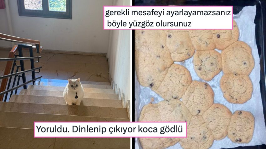 Doğrusunu Unutturan Yazım Yanlışından 10. Sınıftan Sonra İstikametini Kaybedene Son 24 Saatin Viral Tweetleri