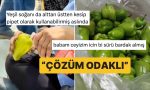 dolmalik-biberi-kola-bardagi-olarak-kullanan-kisi-yeni-bir-goygoy-furyasinin-kapisini-araladi-ERGlZRuE.jpg
