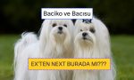 exten-next-burada-mi-z-jenerasyonu-kopek-isimlerinin-parodisiyle-gulduren-veteriner-tabip-NF3lIweu.jpg