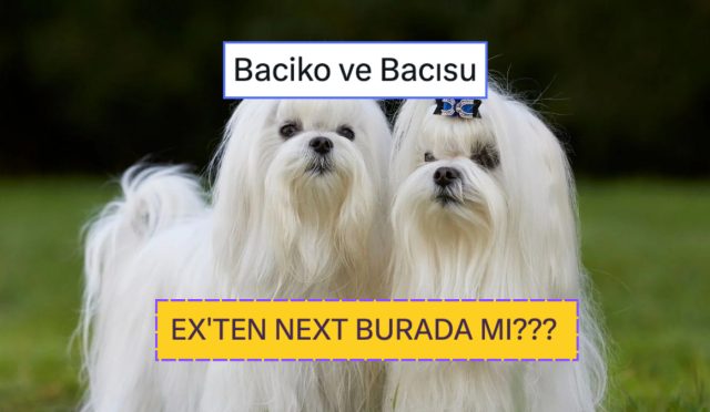 exten-next-burada-mi-z-jenerasyonu-kopek-isimlerinin-parodisiyle-gulduren-veteriner-tabip-NF3lIweu.jpg