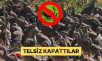 gaganiz-mubarek-olsun-kenelerle-caba-icin-tabiata-salinan-kekliklere-tam-takviye-geldi-uOSux2CW.jpg